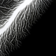 Image for article titled Capturing the Veined Beauty of Lightning